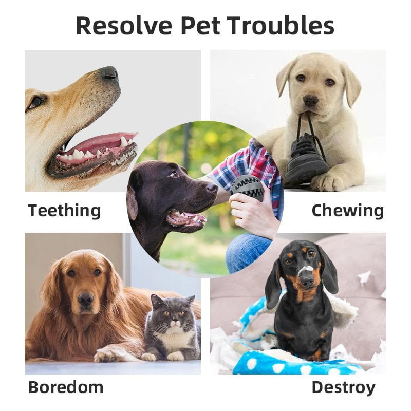 YXH03 Slow eating toy