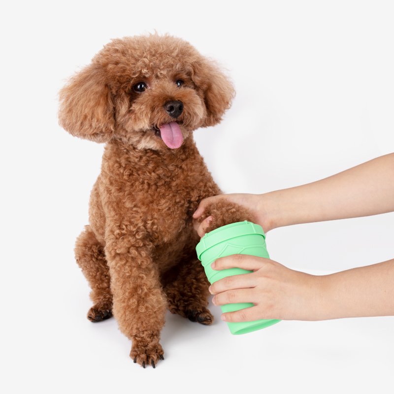 YXH01 Dog Paw Cleaner
